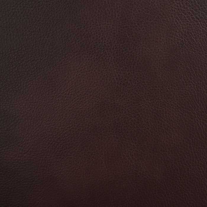 Panther Glider Motion Recliner in Neono Brown