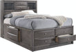 Elements International Emily Grey Queen Storage Bed in Gray image